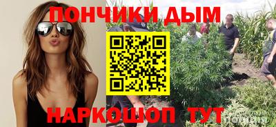 прущие грибы Славгород